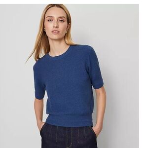 NWT large Ann Taylor Stitch Sweater Tee